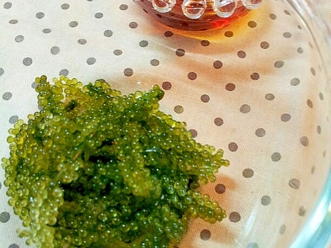 三杯酢でさっぱり♪沖縄の海ぶどう